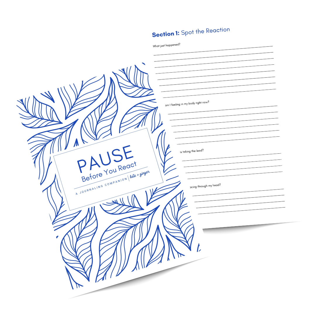 Pause Journaling Companion