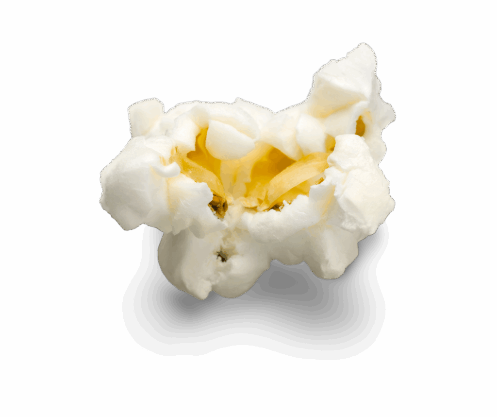 kate and ginger popcorn