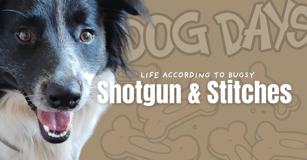 Shotgun & Stitches